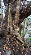 dsc00056_thumb.jpg