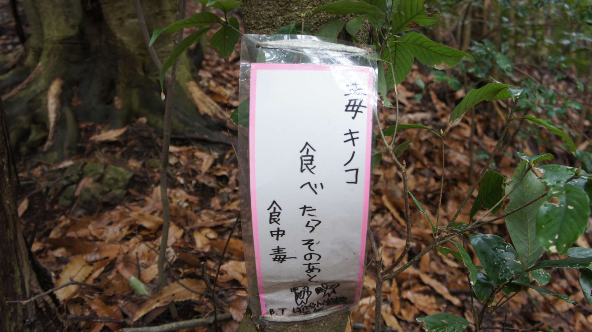 dsc00057.jpg