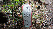 dsc00058_thumb.jpg