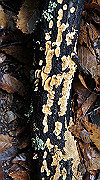 dsc00060_thumb.jpg