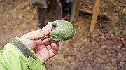 dsc00062_thumb.jpg