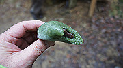 dsc00063_thumb.jpg