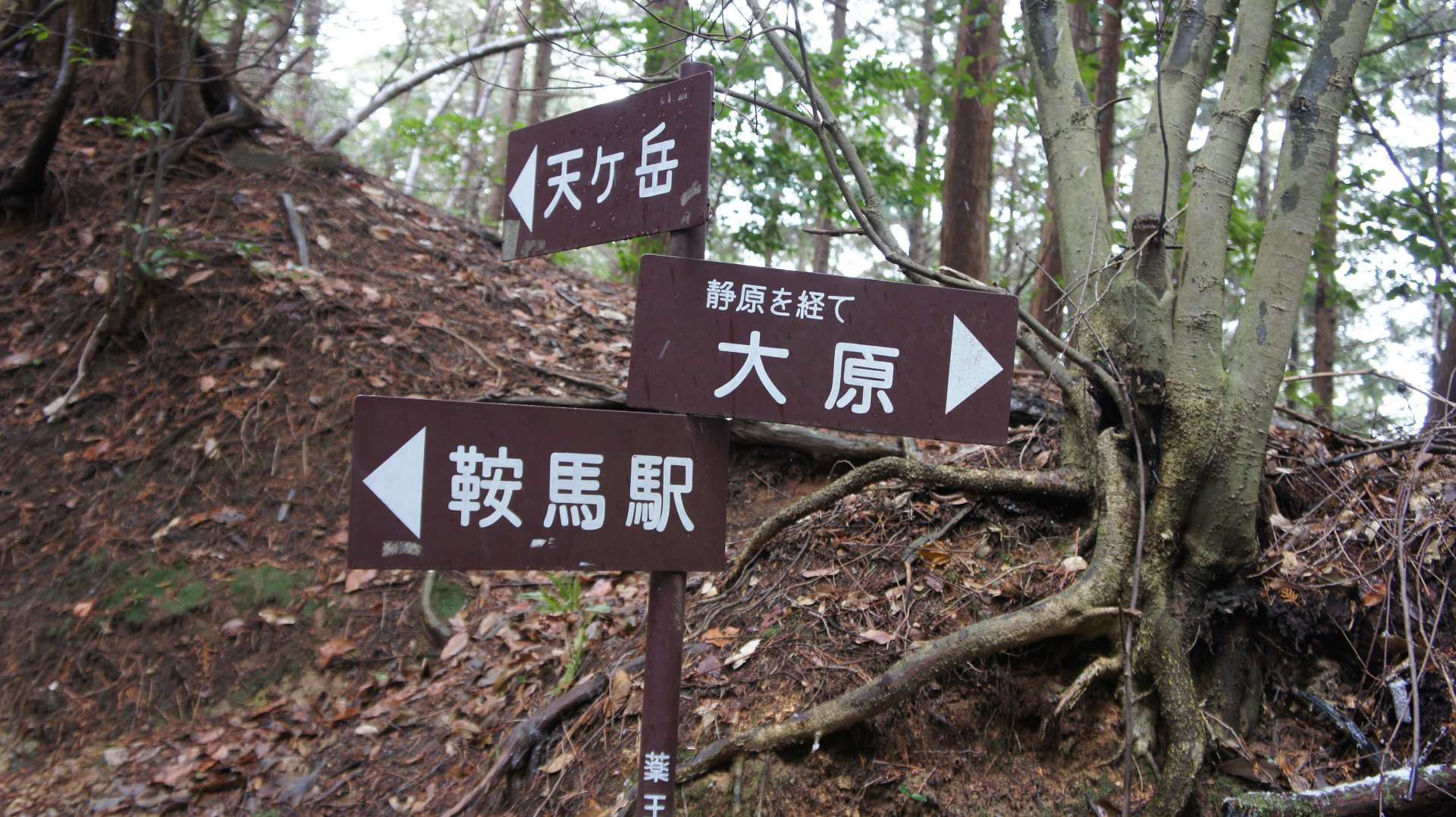 dsc00064.jpg