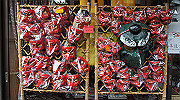 dsc00074_thumb.jpg