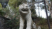 dsc00093_thumb.jpg