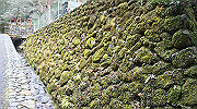 dsc00098_thumb.jpg