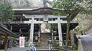 dsc00101_thumb.jpg