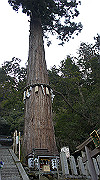 dsc00105_thumb.jpg