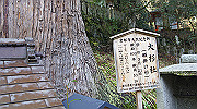dsc00106_thumb.jpg