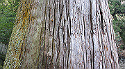 dsc00107_thumb.jpg