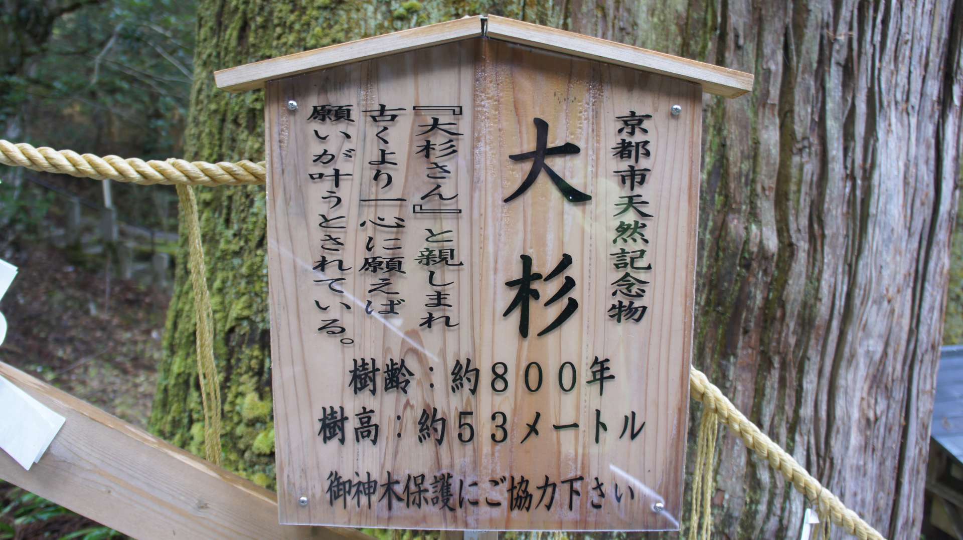 dsc00108.jpg