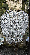 dsc00109_thumb.jpg