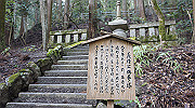 dsc00113_thumb.jpg