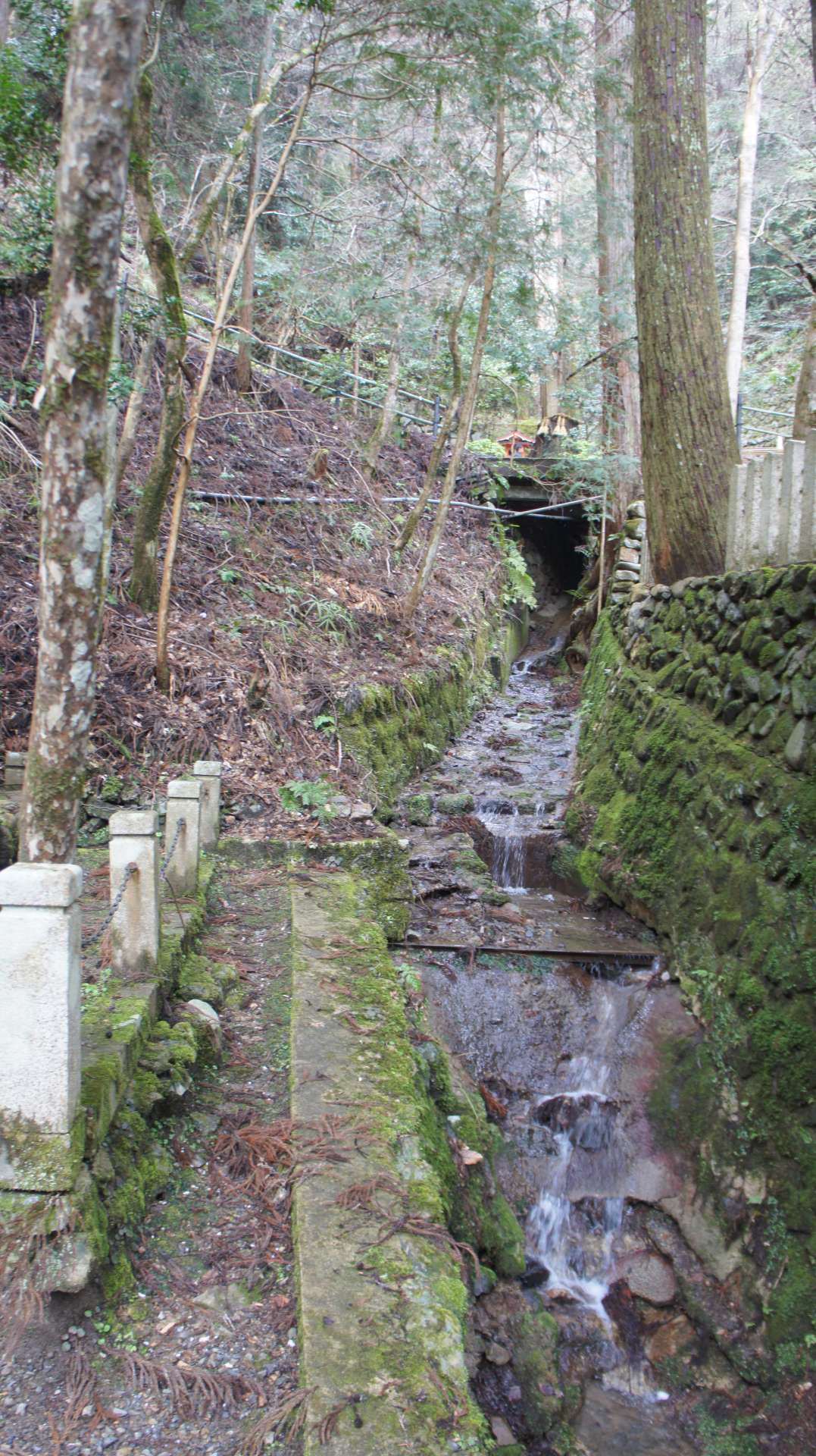 dsc00114.jpg