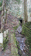 dsc00114_thumb.jpg
