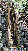 dsc00115_thumb.jpg