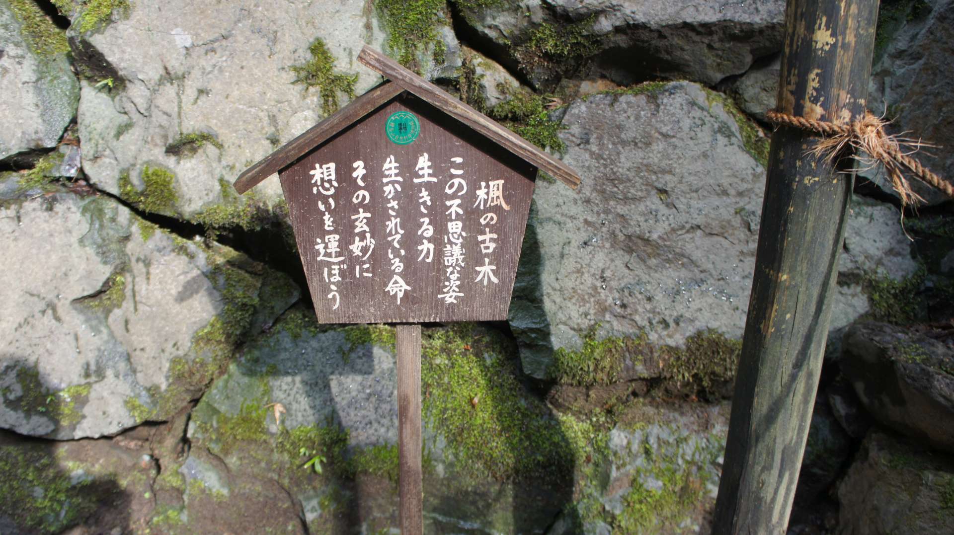 dsc00116.jpg