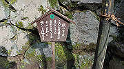 dsc00116_thumb.jpg