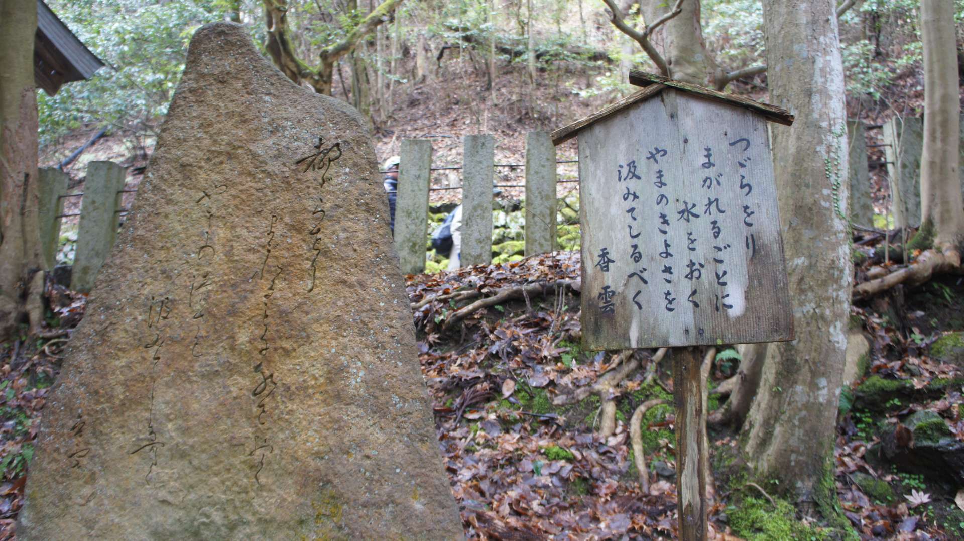 dsc00121.jpg