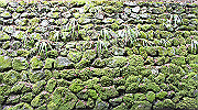 dsc00122_thumb.jpg
