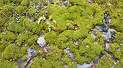 dsc00124_thumb.jpg