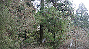 dsc00125_thumb.jpg