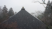 dsc00130_thumb.jpg