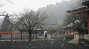 dsc00134_thumb.jpg