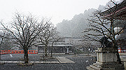 dsc00135_thumb.jpg