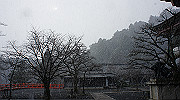 dsc00136_thumb.jpg