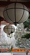 dsc00139_thumb.jpg