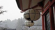 dsc00142_thumb.jpg