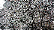 dsc00145_thumb.jpg
