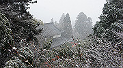 dsc00146_thumb.jpg