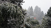 dsc00147_thumb.jpg