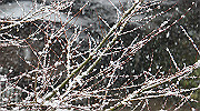 dsc00150_thumb.jpg