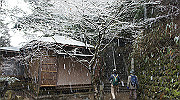 dsc00151_thumb.jpg