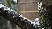 dsc00152_thumb.jpg