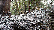 dsc00154_thumb.jpg