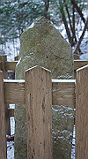 dsc00159_thumb.jpg