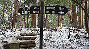 dsc00160_thumb.jpg