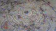 dsc00161_thumb.jpg