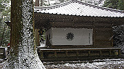 dsc00164_thumb.jpg