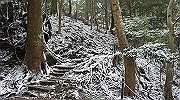 dsc00165_thumb.jpg