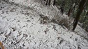dsc00168_thumb.jpg