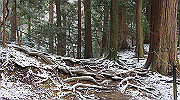 dsc00169_thumb.jpg