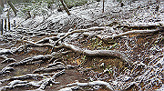 dsc00170_thumb.jpg