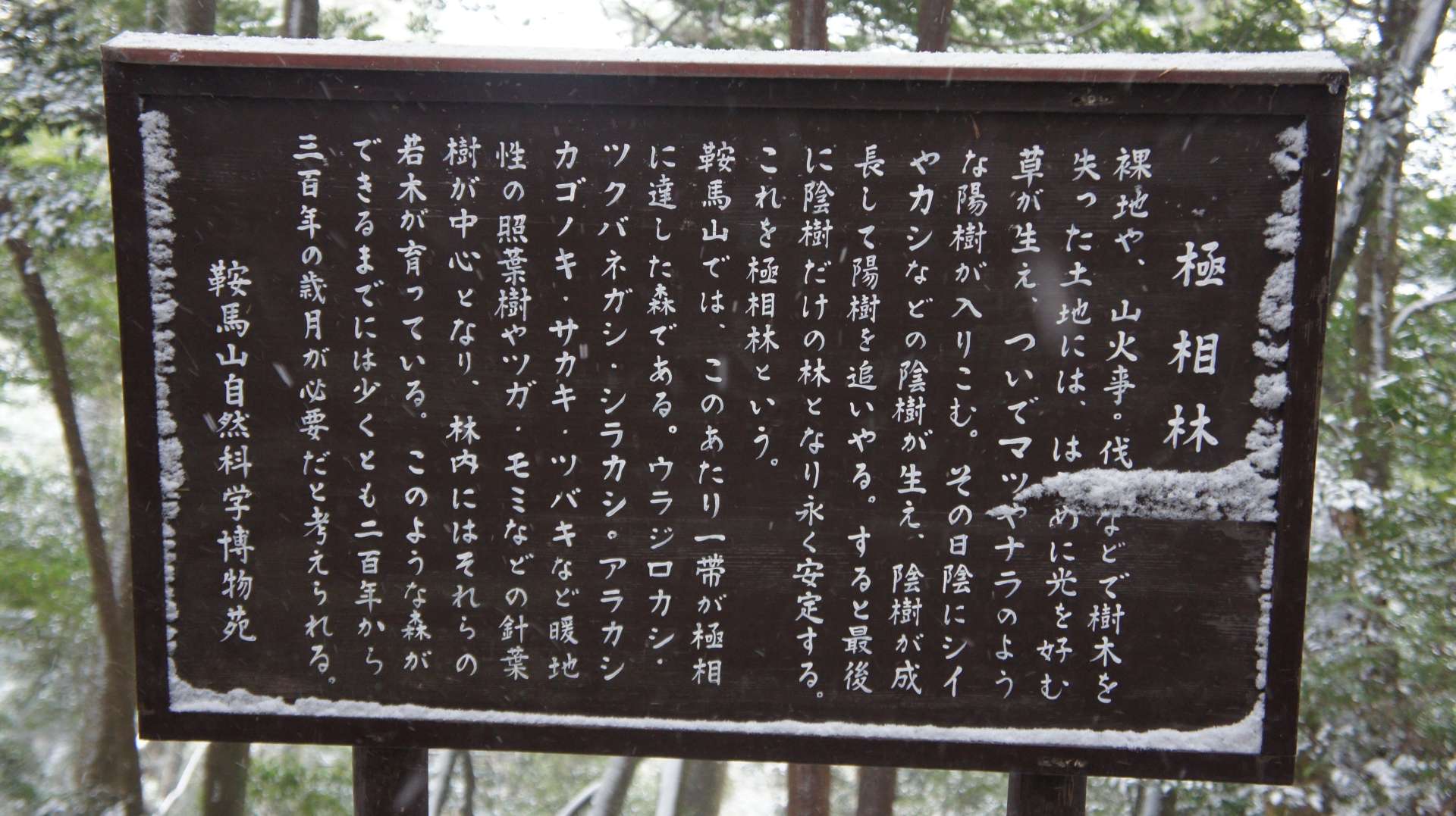 dsc00171.jpg