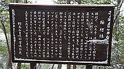 dsc00171_thumb.jpg