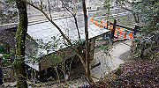 dsc00172_thumb.jpg